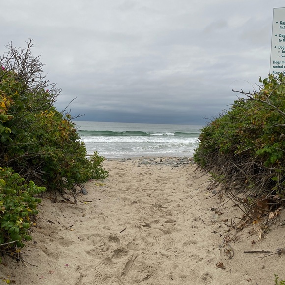 Rough and Tumble Handbags - Offers are Welcome 🐝